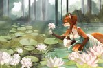 absurd_res anthro bent_over blush breasts canid canine cleavage clothed clothing crouching female flower fox gloves handwear hi_res holding_flower holding_object laffisa lake landscape lilies lotus_(flower) mammal plant pond solo summer tree water