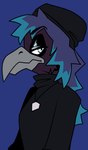 2022 anthro avian bangs beak beastofeuthanasia bird black_clothing black_eyebrows black_hat black_headwear black_sweater black_topwear blue_background blue_hair clothed clothed_anthro clothed_female clothing corvid corvus_(genus) crow digital_drawing_(artwork) digital_media_(artwork) eyebrow_through_hair eyebrows feathers female female_anthro flat_colors frown grey_beak hair half-length_portrait hat headgear headwear jewelry long_hair multicolored_hair necklace oscine passerine portrait purple_body purple_feathers side_view simple_background solo sweater topwear translucent translucent_hair two_tone_hair