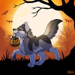 bat bone candy canid canine canis dessert ears_up eyes_closed feral food fruit full_moon halloween halloween_2024 hi_res holidays male mammal mirri moon night night_time orange_glow outside pawpads paws plant pumpkin raised_tail tail tree trick_or_treat walking wolf