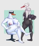 anatid anseriform anserinae anthro areola avian beak beta_pokemon_(species) beta_pokemon_games big_areola big_breasts big_butt bird black_body black_feathers bombirdier breast_squish breasts butt chair crossed_legs curvy_figure digital_media_(artwork) duo feathers feet female furniture generation_9_pokemon hand_on_leg hi_res huge_breasts humanoid_feet humanoid_hands krowbutt looking_at_viewer looking_back mada-mu nintendo nude orange_beak plantigrade pokemon pokemon_(species) pokemon_gold_beta pokemorph red_beak simple_background sitting smile squish standing stork swan thick_thighs white_body white_feathers wide_hips