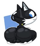 Rating: e
ID: 5560913
Date: 2025-05-09 20:54:35 -0400
Status: active
Score: 37
2025 anthro anus backsack balls barely_visible_anus big_butt black_body black_fur blue_eyes butt butt_focus dipstick_tail domestic_cat english_description felid feline felis fur genital_raphe genitals huge_butt inner_ear_fluff kerchief leg_markings looking_back male mammal markings mask morgana_(persona) objectdicks one_fang persona_(series) persona_5 raised_tail raphe_(anatomy) rear_view scarf scrotal_raphe sitting socks_(marking) solo tail tail_markings teapot_(body_type) thick_thighs tuft tuxedo_cat white_body white_fur white_markings yellow_scarf post #5560913
