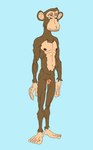 anthro ape balls blue_background bored bored_ape_yacht_club brown_body brown_fur brown_nipples cheek_tuft chimpanzee facial_tuft feet flaccid flat_colors full-length_portrait fur genitals hairless_balls haplorhine head_tuft humanoid humanoid_feet male mammal meme monkey navel nft_monkey nipples nu nude pan_(genus) penis plantigrade portrait primate simple_background small_penis solo standing tuft why