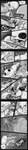 absurd_res adventure angry anthro avian bird bonipops chicken comic demon diives domestic_pig english_text female galliform gallus_(genus) greeting group hi_res lizhi_(diives) long_image male mammal monochrome murid murine panel_skew phasianid plushie rat reptile rodent scalie suid suina superpowers sus_(pig) tall_image text xingzuo_temple