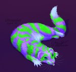 alternate_color ambiguous_gender barely_visible_pawpads blacklight blep calico_pattern claws cloudweaver_(artist) color_edit colored dipstick_tail domestic_ferret english_text european_polecat feet female_(lore) feral fluffy fluffy_tail fluorescence full-length_portrait fur genetically_modified glowing glowing_body glowing_fur green_fluorescent_protein hi_res horizontal_pupils hybrid looking_up lying mammal markings mustelid musteline on_side pawpads paws portrait pupils signature simple_background solo sunny_silver symbol tail tail_markings text third-party_edit tongue tongue_out true_musteline weasel