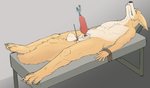 Rating: e
ID: 2642142
Date: 2021-03-06 11:56:37 -0500
Status: active
Score: 60
animal_genitalia anthro balls canid canine castration catheter cock_and_ball_torture darama digital_media_(artwork) erection genital_mutilation genital_torture genitals gore male mammal medical_instrument mutilation nude nullification penectomy penetration penis scientific_instrument severed_balls severed_body_part severed_genitals solo urethral urethral_penetration post #2642142