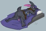Rating: e
ID: 5229613
Date: 2024-12-07 22:46:57 -0500
Status: active
Score: 9
animal_humanoid anthro ass_up backsack balls bed bedding belt black_bunny_brigade butt charbold clothing cybernetic_eye cybernetics digital_media_(artwork) erection fan_character fur furniture genitals hi_res humanoid lagomorph leporid lying machine male mammal marvel nude penis plushie rabbit rear_view scarf shy simple_background solo tail post #5229613