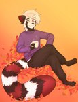 ailurid anthro autumn autumn_leaves biped black_body black_fur clothed clothing container crossed_legs cup ester_(theoneester) fully_clothed fur hi_res holding_container holding_cup holding_object hoodie hypohate looking_away male mammal red_body red_fur red_panda sitting solo topwear white_body white_fur