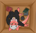 absurd_res anthro book box container eyes_up female formal_wear fur furred_kobold furred_scalie hair hi_res high-angle_view inura karma_(kamikas) kobold lamp lunarium scalie solo tail view white_hair