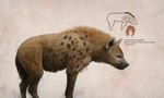 ambiguous_gender brown_body brown_fur cave_hyena cave_painting feral fur hi_res hyena julio_lacerda mammal prehistoric_species quadruped realistic scientific_name solo spotted_hyena tail