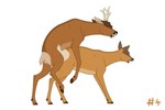 2023 3:2 antlers balls brown_body brown_fur cervine clenched_teeth cloven_hooves deer digital_drawing_(artwork) digital_media_(artwork) duo ears_back ears_up eyelashes eyes_closed female female_penetrated feral feral_on_feral feral_penetrated feral_penetrating from_behind_position fur genitals grunting hooves horn humping in_heat love male male/female male_penetrating male_penetrating_female mammal moan mounting new_world_deer on_hind_legs open_mouth orgasm penetration penile penile_penetration penis_in_pussy pivoted_ears quadruped reinderworld roe_deer romantic romantic_couple rutting seductive sex short_tail simple_background simultaneous_orgasms tail tan_body tan_fur teeth text vaginal vaginal_penetration