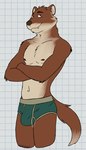 anthro artemis_(remember_the_flowers) bedroom_eyes biped black_eyes briefs briefs_only brown_body brown_eyebrows brown_fur bulge clothed clothing crossed_arms digital_media_(artwork) eyebrows fur green_briefs green_clothing green_underwear hi_res looking_at_viewer male male_anthro mammal multicolored_clothing multicolored_underwear mustelid musteline narrowed_eyes navel nipples pink_inner_ear portrait red_nipples red_nose remember_the_flowers seductive slim solo tan_body tan_fur tan_inner_ear three-quarter_portrait toothy_grin topless true_musteline underwear underwear_only unsafescapewolf weasel whiskers white_sclera