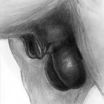 1:1 animal_genitalia balls balls_shot close-up darkmare equid equine equine_balls equine_genitalia equine_sheath feral fully_sheathed genital_shot genitals graphite_(artwork) greyscale horse male mammal monochrome realistic_feral sheath solo traditional_media_(artwork)