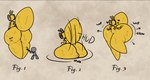 Rating: e
ID: 5354816
Date: 2025-02-06 02:16:16 -0500
Status: active
Score: 43
2025 absorption_vore ambiguous_gender anthro arthropod bee behind_another big_butt butt butt_crush comic digital_drawing_(artwork) digital_media_(artwork) duo eyes_closed front_view grey_body growth gun heart_symbol holding_gun holding_object holding_ranged_weapon holding_weapon honey_creature huge_butt hymenopteran hyper hyper_butt insect looking_at_another looking_back looking_back_at_another quuestions_(artist) raised_leg raised_tail ranged_weapon rear_view sitting sitting_on_another size_difference solo_focus tail thick_thighs vore weapon yellow_body post #5354816