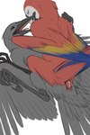 Rating: e
ID: 5601216
Date: 2025-05-27 00:00:33 -0400
Status: active
Score: 34
2:3 aarakocra_(dnd) animal_genitalia avian avian_feet bird black_body black_feathers blue_body blue_feathers cloaca cloacal cloacal_penetration cloacal_penis corvid corvus_(genus) cowgirl_position crow duo feathers female female_feral female_penetrated feral feral_on_feral feral_penetrated feral_penetrating feral_penetrating_feral from_front_position genitals hi_res kleek lying macaw male male/female male_feral male_penetrating male_penetrating_female neotropical_parrot on_back on_bottom on_top oscine parrot passerine penetration penis peregr1ne red_body red_feathers sex simple_background solo spread_legs spreading true_parrot white_background wings yellow_body yellow_feathers post #5601216