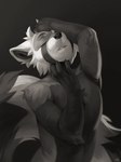 2024 ailurid anthro biped black_body black_fur eyes_closed fur grey_body grey_fur greyscale hi_res male mammal monochrome nude_anthro nude_male pose red_panda salanchu solo white_body white_fur