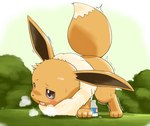 bodily_fluids cum cum_collecting cum_drip dripping eevee ejaculation feral generation_1_pokemon genital_fluids hi_res male masturbation nintendo obscured_masturbation pokemon pokemon_(species) quadruped solo tawa_1908