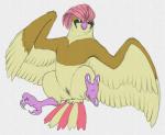 animal_genitalia anus avian avian_feet beak bird feathered_wings feathers feet female feral generation_1_pokemon genitals nintendo pidgeotto pokemon pokemon_(species) presenting presenting_pussy pussy python13rp simple_background solo tail tail_feathers talons toes white_background wings yaroul