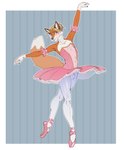 alex_(disambiguation) anthro ballerina ballet bottomwear bulge canid canine clothed clothing crossdressing dancewear detailed_bulge embarrassed fox furgonomics genital_outline hi_res kumir legwear male mammal shy skirt solo tail tail_through_skirt tight_clothing tights tutu