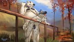 Rating: e
ID: 5551257
Date: 2025-05-05 17:10:51 -0400
Status: pending
Score: 16
anal anal_penetration animal_mask anthro bear collar duo forest forest_background genitals half-erect harness hi_res humanoid_genitalia humanoid_penis hyena kodacine leash leash_pull leashed_collar looking_pleasured male male/male mammal mask nature nature_background open_mouth outside penetration penile penile_penetration penis plant polar_bear public public_nudity public_sex pup_mask sex size_difference slightly_chubby slightly_chubby_anthro slightly_chubby_male snarling spotted_hyena tail tongue tongue_out tree ursine post #5551257