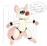 anthro male mammal mouse murid murine pawfunk_(artist) pinky_(warner_brothers) rodent solo