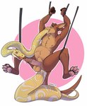Rating: e
ID: 4502042
Date: 2023-12-29 12:36:30 -0500
Status: active
Score: 250
4_toes 5_fingers abdominal_bulge all_the_way_through anal anal_penetration anal_threading anthro anthro_on_feral balls bdsm bestiality black_claws black_nose bodily_fluids brown_balls brown_body brown_eyebrows brown_fur brown_hair claws duo ear_piercing eyebrows feet feral fingers fur genital_fluids genitals hair hi_res humanoid_genitalia humanoid_penis kangaroo licking macropod male mammal marsupial nipples oral oral_penetration orange_eyes pawpads penetration penile penis penis_lick piercing pink_nipples pink_pawpads pink_penis pink_tongue precum python reptile saliva scalie sex simple_background snake snake_impalement snaked tail threaded_by_body toes tongue tongue_out valbits vein veiny_penis white_background post #4502042