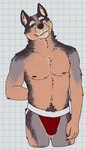 2024 anthro belly biped black_nipples black_nose body_hair bulge canid canine canis checkered checkered_background clothed clothing digital_drawing_(artwork) digital_media_(artwork) domestic_dog eyebrows fur graph_paper grey_body grey_eyes grey_fur hand_behind_back happy_trail head_tilt hi_res inner_ear_fluff jockstrap looking_aside male male_anthro mammal multicolored_body navel nipples partially_clothed partially_clothed_male pattern_background pink_inner_ear portrait purple_body purple_fur red_clothing red_underwear shelter_(visual_novel) signature simple_background slightly_chubby solo standing tan_body tan_eyebrows tan_fur tan_inner_ear_fluff thistle_(shelter) three-quarter_portrait tuft underwear underwear_only unsafescapewolf whiskers white_background white_sclera