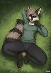 2024 4_toes anthro bottomwear breasts brown_body brown_eyes brown_fur brown_hair brown_tail clothed clothing countershade_torso countershading cubic_(metriccaboose) digital_media_(artwork) feet female fingers foxovh fully_clothed fully_clothed_anthro fully_clothed_female fur grass hair hi_res inner_ear_fluff looking_at_viewer lying mammal on_back on_ground outside plant procyonid raccoon solo spread_legs spreading tail toes topwear tuft