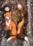 Rating: s
ID: 3686408
Date: 2022-11-12 10:04:34 -0500
Status: active
Score: 27
2022 :3 ambiguous_gender black_body black_fur canid canine cross_fox digital_drawing_(artwork) digital_media_(artwork) duo feral flashw fox fur interrobang mammal orange_body orange_fur paws red_fox sitting smile true_fox white_body white_fur post #3686408