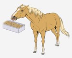 4_legs ambiguous_gender blonde_hair blonde_mane eating equid equine feral fur hair hi_res hooves horse mammal mane noki001 simple_background solo tan_body tan_fur tongue white_background