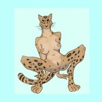 1:1 4_toes all_fours anthro blue_border border breasts c2d2 colored eve_speed feet felid female female_urethra leopard looking_at_viewer mammal muscular muscular_female pantherine presenting shaded simple_background solo spots spread_legs spreading tail toes tuft urethra whiskers