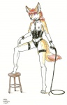 Rating: q
ID: 93342
Date: 2010-09-11 17:12:06 -0400
Status: active
Score: 12
2005 anthro breasts canid canine clothed clothing corset dominatrix female fox fur furniture gesture hair hand_gesture henryweasel lingerie long_hair mammal nipple_piercing nipples panties piercing pointing pointing_down red_hair simple_background skimpy solo stool tail topwear underwear whip white_background white_body white_fur yellow_body yellow_fur post #93342