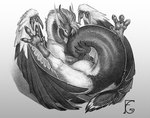 Rating: s
ID: 5597789
Date: 2025-05-25 15:56:23 -0400
Status: active
Score: 14
ambiguous_gender avian dragon felangrey feral gryphon hug monochrome mythological_avian mythological_creature mythological_scalie mythology scalie solo tail post #5597789