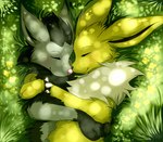 2011 black_body black_fur blackfury cuddling daww eeveelution eyes_closed fluffy fur generation_1_pokemon generation_3_pokemon grass grey_body grey_fur jolteon mightyena nintendo nose_to_nose outside plant pokemon pokemon_(species) smile white_body white_fur yellow_body yellow_fur