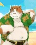 2024 anothereidos_of_dragon_vein_r anthro beach belly blush clothing domestic_cat felid feline felis hi_res kemono male mammal moobs navel outside overweight overweight_male palm_tree plant snow_utamaru solo swimwear tree water