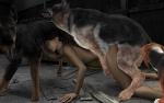 3d_(artwork) all_fours alley animal_genitalia animal_penis beagle bestiality brown_hair canid canine canine_genitalia canine_penis canis collar curled_hair darksoul digital_media_(artwork) dobermann doggystyle domestic_dog erection eyes_closed fellatio female female_on_feral feral feral_penetrating feral_penetrating_human floppy_ears foursome from_behind_position genitals german_shepherd group group_sex hair herding_dog human human_on_feral human_penetrated hunting_dog interspecies knot licking male male/female male_penetrating mammal nude oral pastoral_dog penetration penile penis penis_lick pinscher realistic_feral red_penis scent_hound sex spitroast stephanie_(disambiguation) submissive tongue tongue_out trash_can vaginal vaginal_penetration