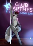 absurd_res anthro bedroom_eyes big_tail canid canine earthwormgd earthy erection fox genitals grey_penis hair hi_res holding_object lights looking_at_viewer male mammal narrowed_eyes neon_lights penis pole raised_arm red_hair seductive sign solo strip_club stripper_pole tail