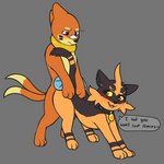 1:1 akihime_the_torracat_(akihime) anthro blush buizel collar doggystyle duo female from_behind_position fur generation_4_pokemon generation_7_pokemon hi_res kai_(mr.smile) male male/female mr.smile nintendo pokemon pokemon_(species) sex simple_background tongue torracat