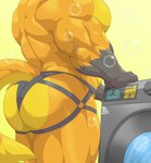 anthro appliance biceps big_butt bubble butt canid canine clothed clothing fox hi_res jake_(jakethenerdyfox) jockstrap laundry_machine male mammal manly muscular muscular_anthro muscular_butt muscular_male partially_clothed pecs raised_tail solo tail tylerstark underwear washing_machine