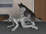 Rating: e
ID: 1098532
Date: 2017-01-05 16:08:29 -0500
Status: active
Score: 718
2009 3d_(artwork) 3d_animation 4:3 all_fours anal anal_knotting anal_orgasm anal_penetration animal_genitalia animal_penis animated anthro anthro_on_feral anthro_penetrated anus balls becoming_erect bestiality black_anus blue_eyes bodily_fluids bouncing_balls bouncing_penis butt canid canine canine_genitalia canine_penis canis close-up cum cum_in_ass cum_inside cum_on_balls cum_on_ground cum_while_penetrated diamondwing digital_media_(artwork) doggystyle domestic_dog dragon duo ejaculation erection femboy feral feral_penetrating feral_penetrating_anthro flash_conversion from_behind_position fur genital_fluids genitals glans grey_body grey_fur h0rs3 hands-free humanoid_genitalia humanoid_penis humping husky inside interspecies knot knot_swelling knotting leaking_cum licking long_playtime male male/male male_on_anthro male_on_feral male_penetrated male_penetrating male_penetrating_male mammal mythological_creature mythological_scalie mythology no_sound nordic_sled_dog on_ground orgasm penetration penile penile_penetration penis penis_in_ass penis_tip pink_glans pink_penis scalie sex spitz tail tail_motion tailwag tongue tongue_out webm white_balls white_body white_fur white_penis white_skin post #1098532