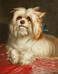 Rating: s
ID: 5552185
Date: 2025-05-06 01:29:44 -0400
Status: active
Score: 8
ambiguous_gender ancient_art bedding black_nose brown_background canid canine canis domestic_dog feral fingers fur half-length_portrait hi_res hunting_dog looking_at_viewer mammal maud_earl mouth_closed painting_(artwork) portrait shaded simple_background soft_shading solo terrier traditional_painting_(artwork) white_body white_fur yorkshire_terrier post #5552185