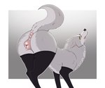 anatomically_correct anatomically_correct_genitalia animal_genitalia animal_pussy anus big_butt blush bodily_fluids butt canid canine canine_genitalia canine_pussy canis clothed clothed_feral clothing crossgender digital_media_(artwork) domestic_dog female feral fur genitals grey_body grey_fur hi_res husky kaze~inu leggings legwear mammal mixed_breed nikko_(kaze~inu) nordic_sled_dog presenting pussy simple_background smile solo spitz tail tail_anus tongue wolf yellow_eyes