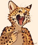 Rating: s
ID: 3848037
Date: 2023-02-01 19:01:11 -0500
Status: active
Score: 29
2023 5_fingers ambiguous_gender anthro cheetah digital_drawing_(artwork) digital_media_(artwork) felid feline fingers flashw food looking_at_viewer mammal open_mouth orange_eyes simple_background solo sushi teeth tongue white_background post #3848037