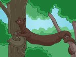 Rating: q
ID: 5113497
Date: 2024-10-14 00:50:41 -0400
Status: active
Score: 25
abdominal_bulge ambiguous_feral ambiguous_gender ambiguous_pred black_eyes bodily_fluids brown_body brown_fur claws face_imprint feral feral_pred fully_inside fur gulonine hi_res imprint long_body mammal marten mustelid musteline plant prehensile_tail quadruped sable_(marten) saliva snout solo strega tail tongue tongue_out tree vore whiskers post #5113497