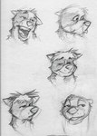 Rating: s
ID: 3038047
Date: 2021-11-22 03:48:14 -0500
Status: active
Score: 7
2001 anthro biped circles_(comic) douglas_pope ears_down expression_sheet fangs greyscale guide_lines head_tuft headshot_portrait k-9 male mammal martin_miller mephitid monochrome mustelid open_mouth otter pivoted_ears portrait sketch sketch_page skunk smile solo teeth traditional_media_(artwork) tuft post #3038047