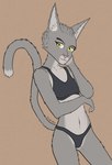 absurd_res anthro bra breasts clothing colored countershading digital_drawing_(artwork) digital_media_(artwork) eyebrows felid feline female female_anthro fur grey_body grey_fur hi_res johndoe8771 looking_at_viewer mammal multicolored_body multicolored_fur navel nude simple_background small_breasts smile solo standing sylvania_(johndoe8771) tail thong tight_clothing underwear yellow_eyes