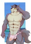 abs absurd_res anthro bulge canid canine canis cartoon_network clothed clothing fur hi_res male mammal mrlynxart muscular muscular_anthro pecs solo tail topless topless_male we_baby_bears we_bare_bears wolf wolf_(we_baby_bears)