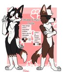 anthro black_body black_fur border_collie brown_body brown_fur canid canine canis collie dokapi domestic_dog duo female fur herding_dog hi_res male mammal mike_collie_(dokapi) model_sheet nude pastoral_dog sheepdog sheina_collie_(dokapi) white_body white_fur