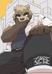 2024 absurd_res anthro bottomwear brown_body canid canine clothing hi_res humanoid_hands kemono male mammal outside overweight overweight_male pants penguin0700 raccoon_dog shirt smile solo tanuki topwear