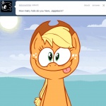 1:1 animated applejack_(mlp) ask_jappleack christmas christmas_clothing christmas_headwear clothing cowboy_hat digital_media_(artwork) earth_pony english_text equid equine female feral friendship_is_magic grass hasbro hat headgear headwear holidays horse hotdiggedydemon mammal my_little_pony plant pony rainbow_dash_(mlp) santa_hat short_playtime solo text tumblr