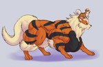 2019 4_toes ambiguous_gender arcanine big_muscles big_pecs black_body black_countershading black_markings countershading duo feet feral fur generation_1_pokemon growlithe huge_muscles huge_pecs hyper hyper_muscles hyper_pecs markings muscular nintendo orange_body orange_fur pecs pokemon pokemon_(species) side_view size_difference sonicgamer standing standing_on_another toes